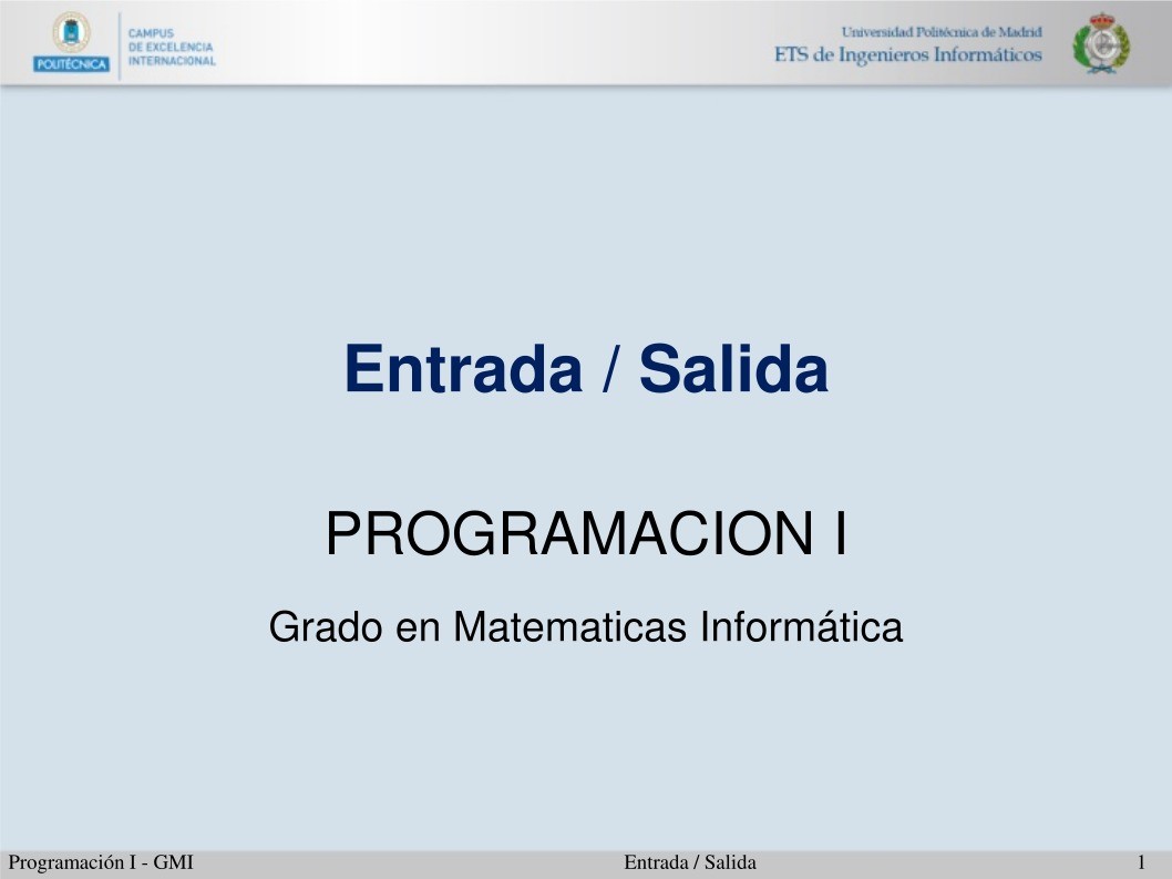 Imágen de pdf Entrada / Salida - Programación I